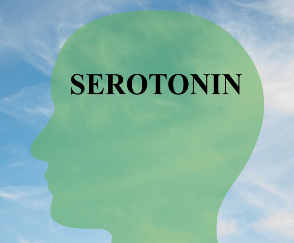 SEROTONIN 2