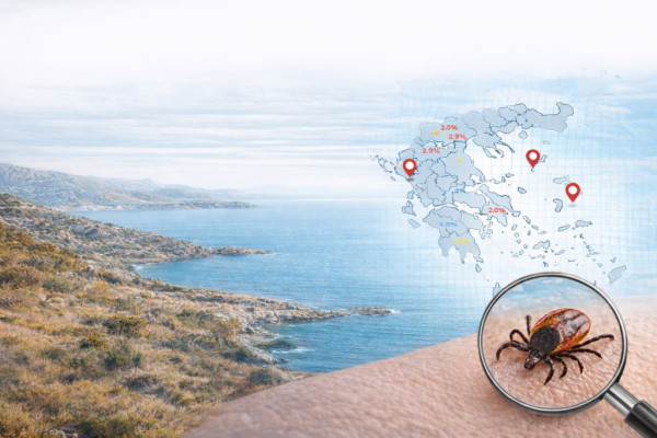 Στο μικροσκόπιο μεγάλης μελέτης οι ασθένειες που μεταδίδονται από τσιμπούρια στην Ελλάδα