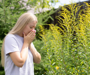 Άσθμα και αλλεργίες την άνοιξη: Συμπτώματα, ποιότητα ζωής και σύγχρονες θεραπείες