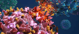 Νέα έρευνα ανοίγει το δρόμο σε πιο αποτελεσματική και ασφαλή θεραπεία κακοηθειών και αυτοάνοσων