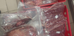 Kατάσχεση 3,5 τόνων ακατάλληλων κρεάτων στον Πειραιά- Προορίζονταν και για νοσοκομεία