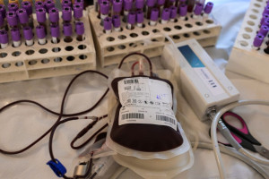 Εθελοντική αιμοδοσία στο ΑΠΘ στις 29 Σεπτεμβρίου