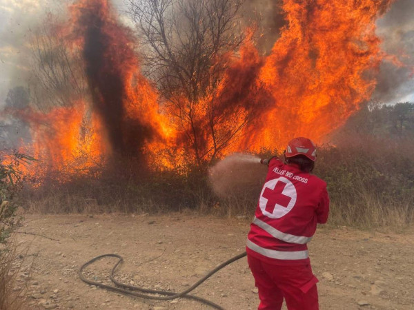 ΕΛΛΗΝΙΚΟΣ ΕΡΥΘΡΟΣ ΣΤΑΥΡΟΣ 