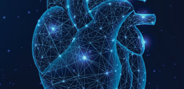 Καρδιακές βαλβίδες και σύγχρονες διακαθετηριακές τεχνικές που αλλάζουν τη ζωή, χωρίς χειρουργείο