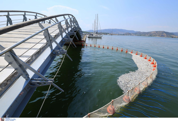 Και δεύτερο πλέγμα για να συγκρατηθούν τα χιλιάδες νεκρά ψάρια στον Βόλο