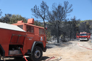 Ένας πυροσβέστης τραυματίστηκε στη φωτιά που ξέσπασε στη Λήμνο