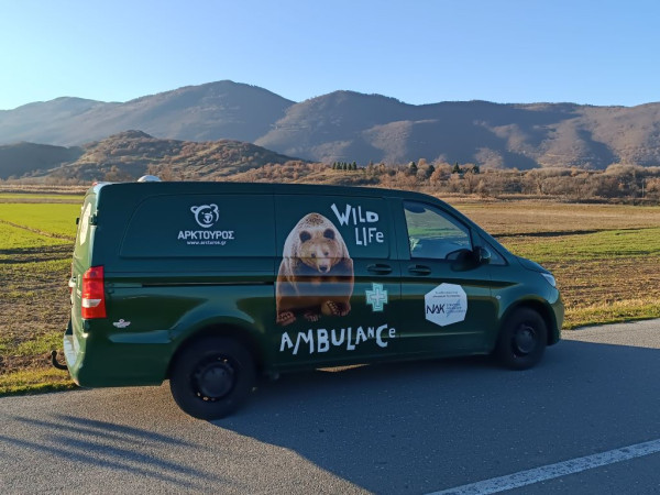 Θεσσαλονίκη: Ο Αρκτούρος απέκτησε το πρώτο ασθενοφόρο άγριων θηλαστικών στην Ελλάδα