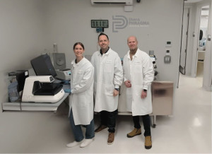 Έλληνες ερευνητές ανακάλυψαν μονοκλωνικό αντίσωμα για την αποκατάσταση του αιματοεγκεφαλικού φραγμού