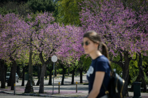 Εαρινή Ισημερία: Κάντε ένα διάλειμμα στη δουλειά για να επωφεληθείτε από την anti-stress ανθοφορία