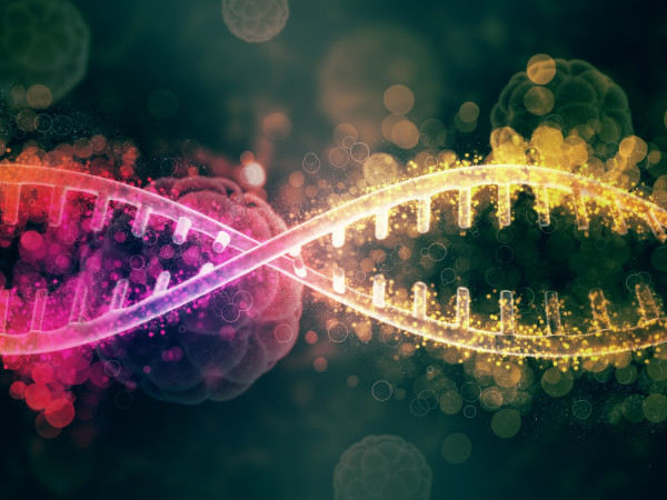 BRCA1 και BRCA2: Πόσο μπορεί να καθυστερήσει με ασφάλεια η προληπτική αφαίρεση ωοθηκών και σαλπίγγων;