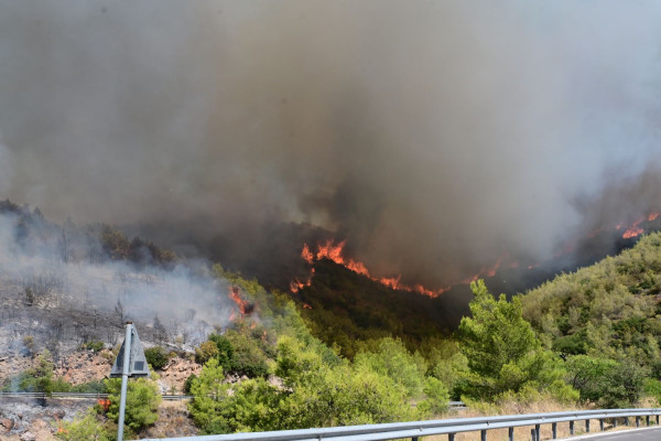 Γεωργιάδης, Βιλδιρίδη θα επισκεφθούν στο «Αγλαΐα Κυριακού» τα παιδιά από το Παίδων Πεντέλης