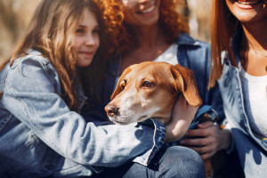 Βραβεία Φιλοζωίας 2025 «Ηρωικές Καρδιές»: Ο νέος θεσμός που τιμά όσους δίνουν φωνή στα ζώα