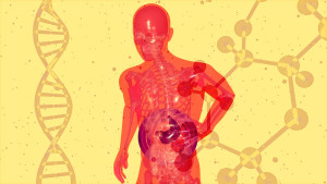 Τα γονίδια φαίνεται να "αποφασίζουν" πόσο αποτελεσματικά θα είναι τα φάρμακα GLP-1