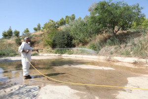 Ο ΙΣΑ ζητάει δημοσιοποίηση στοιχείων για τη διασπορά του Ιού του Δυτικού Νείλου στην Αττική