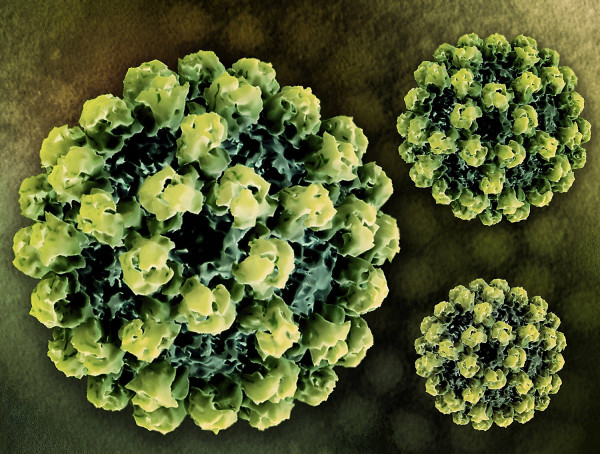 Κρούσματα γαστρεντερίτιδας στην Τζιά: Βασικός ύποπτος ο νοροϊός