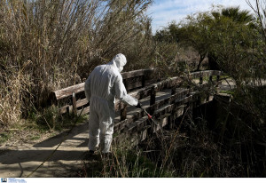 Εξαπλώνεται ο ιός του Δυτικού Νείλου - Αυξάνονται οι περιοχές με τα μολυσμένα κουνούπια