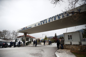 Παγκόσμια Ημέρα Περιβάλλοντος: 1.250 φυτά διανεμήθηκαν στους εργαζόμενους του Νοσοκομείου «Παπανικολάου»