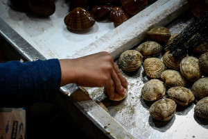 Καθαρά Δευτέρα: Οδηγίες του ΕΦΕΤ για τη σωστή επιλογή των σαρακοστιανών εδεσμάτων